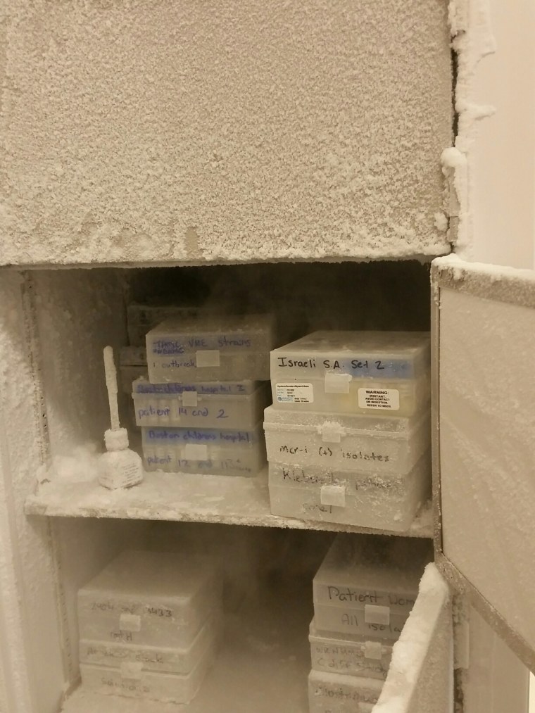 Some of the 40,000 samples of bacteria stored at the Multidrug Resistant Organism Repository and Surveillance Network (MRSN) lab at the Walter Reed Army Institute of Research in Silver Spring, Md.