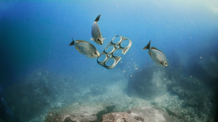Image: A rendering of environmentally friendly beer rings made of biodegradable, edible packaging