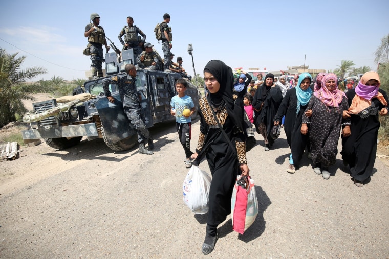 Image: Iraqi families flee from Fallujah