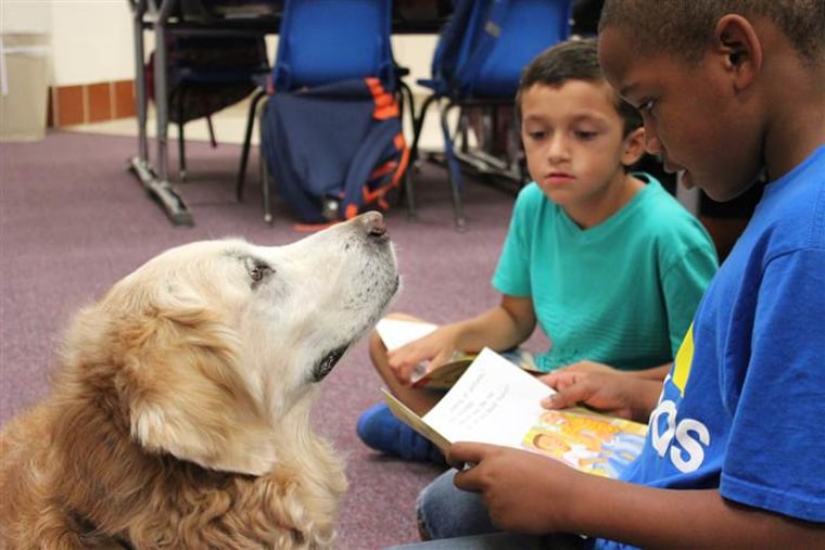 Bretagne the search dog helps a first-grader to read aloud.
