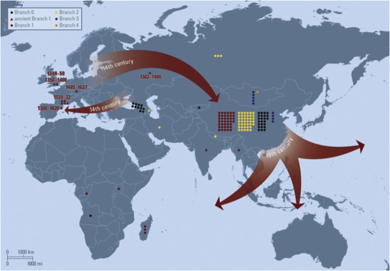Red arrows indicate Branch 1 of plague cycling through Europe during the 14th century, eastward travel out of Europe after the Black Death, and global dissemination from China during the third plague pandemic