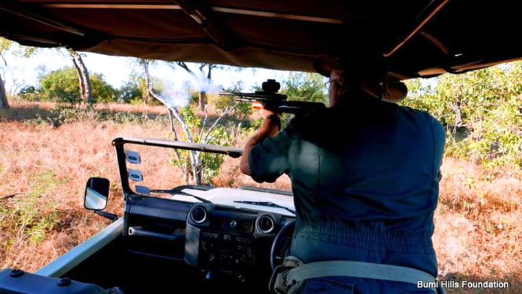 Wounded elephant appears to plead for help from humans after being shot by poachers.