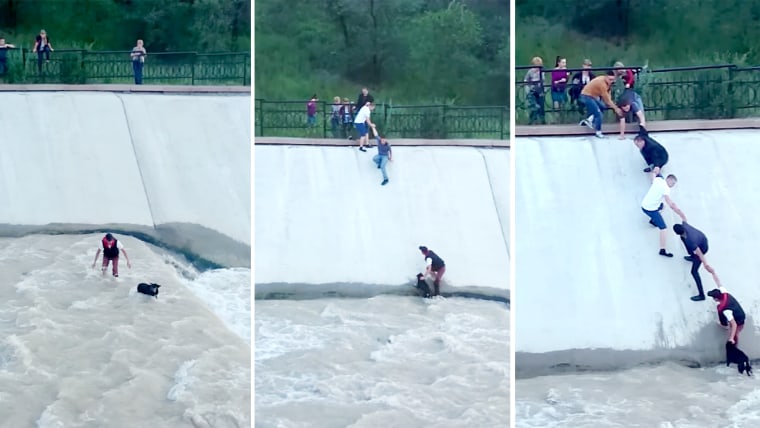 Brave Group of People Work Together to Rescue Dog Trapped in Flooding Reservoir