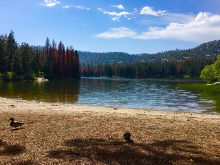 Sequoia and Kings Canyon National Park