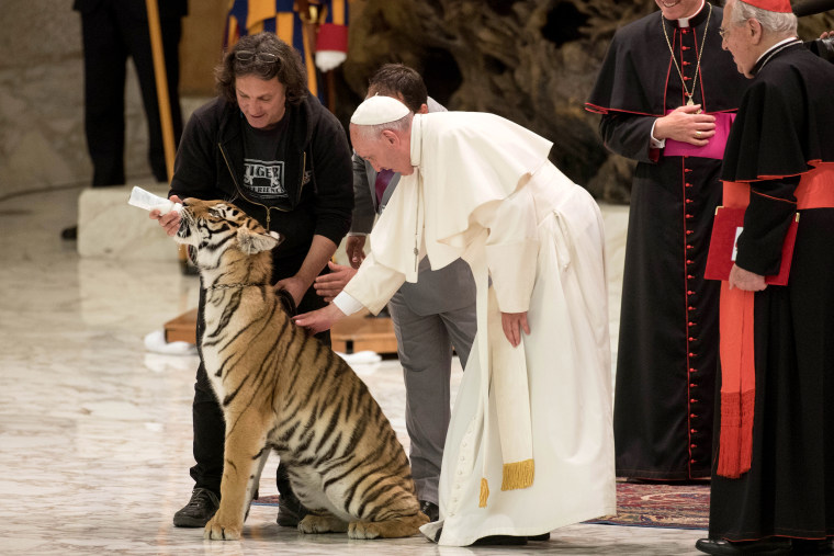 Image: World of Travelling Shows papal audience, Vatican, Rome, Italy - 16 Jun 2016