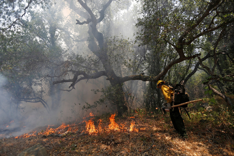 Image: A Hotshots member from the U.S. Forest Department sets a back fire while battling the the so-called \"Sherpa Fire\", which has grown to over 1100 acres overnight, in the hills near Goleta