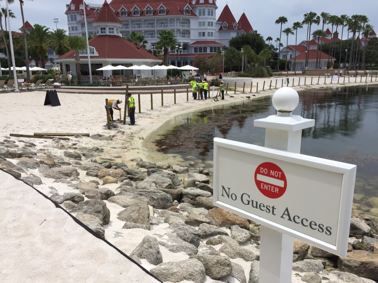Posts for a fence are erected by workers at Disney's Grand Floridian Beach Resort &amp; Spa Friday, June 17. A 2-year-old boy was killed by an alligator near the resort Tuesday, and the company said it is installing signs warning about alligators.