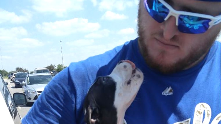 fans rescue pup from hot car at Royals game