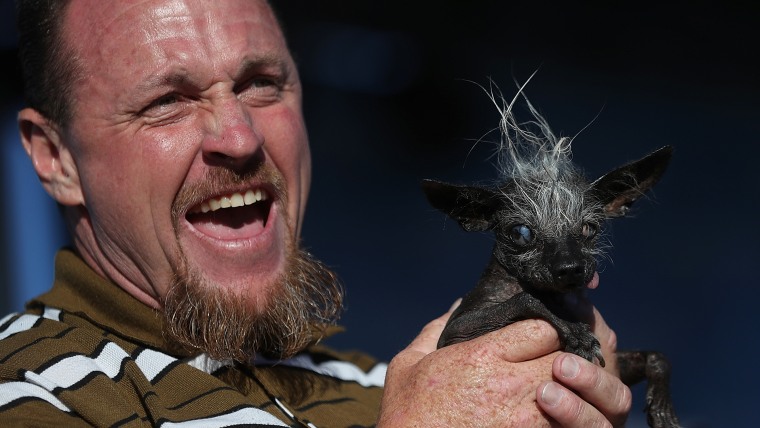 Canines Compete In World's Ugliest Dog Contest