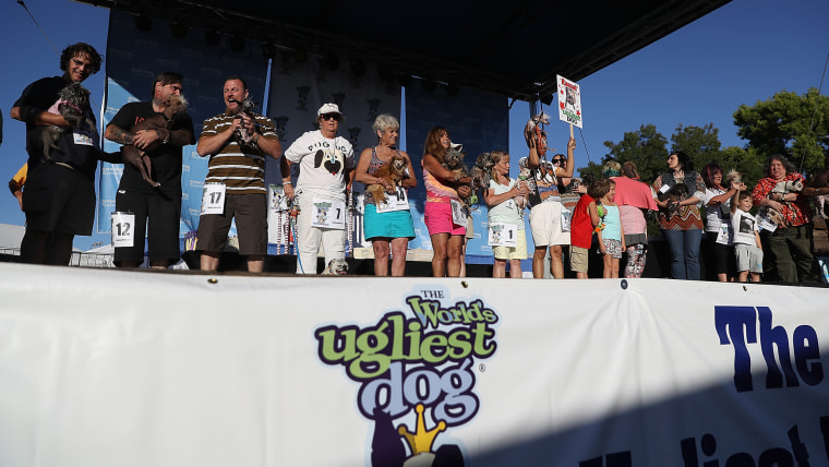 Canines Compete In World's Ugliest Dog Contest