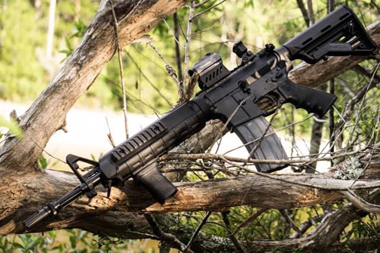 Image: AR-15 semi-automatic rifle