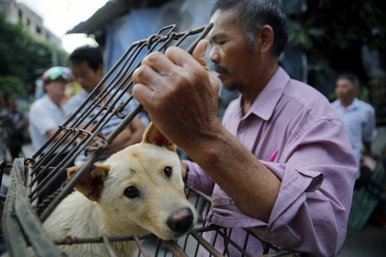 Image: Dog meat sales ahead of Yulin dog meat festival