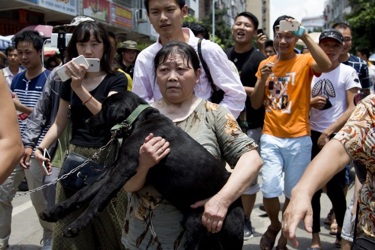 China DogMeat Festival Gets LowKey Opening Amid Protests