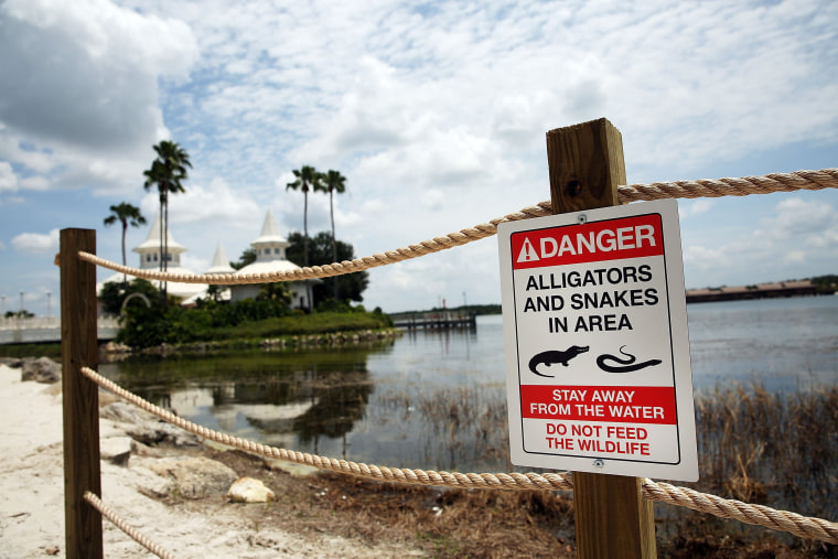 Image: Disney Installs Alligator Warning Signs In Aftermath Of Toddler Death At One Of Its Resorts