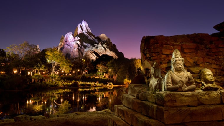 Disney's Animal Kingdom Theme Park