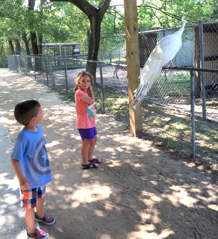 kids with peacock