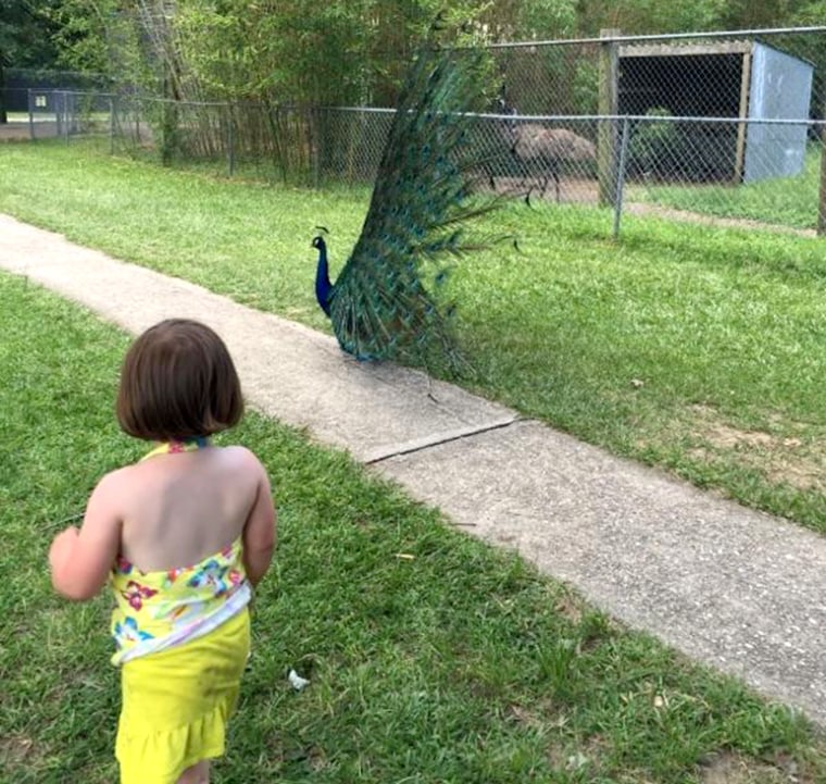 girl and peacock