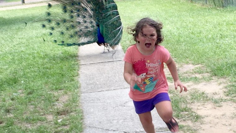 girl running from peacock