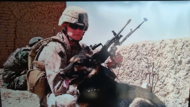 Rico military hero dog