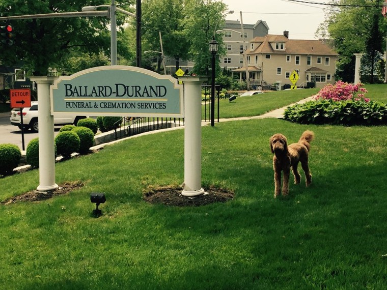 Lulu at Ballard-Durand Funeral &amp; Cremation Services