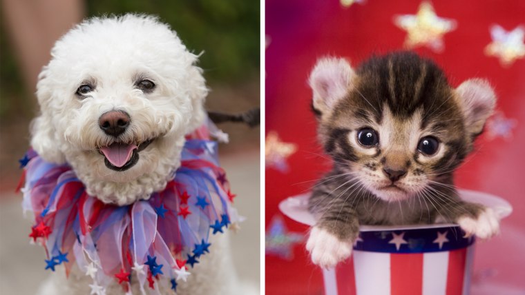 Experts have some smart tips to keep your pets safe during Fourth of July fireworks.