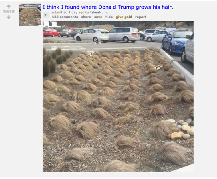 Posted on r/EnoughTrumpSpam by takeatrump.
