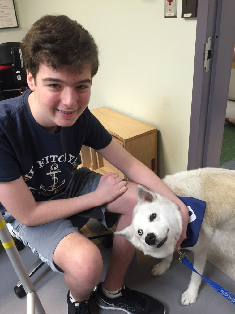 Patient with therapy dog at Akron Children's Hospital