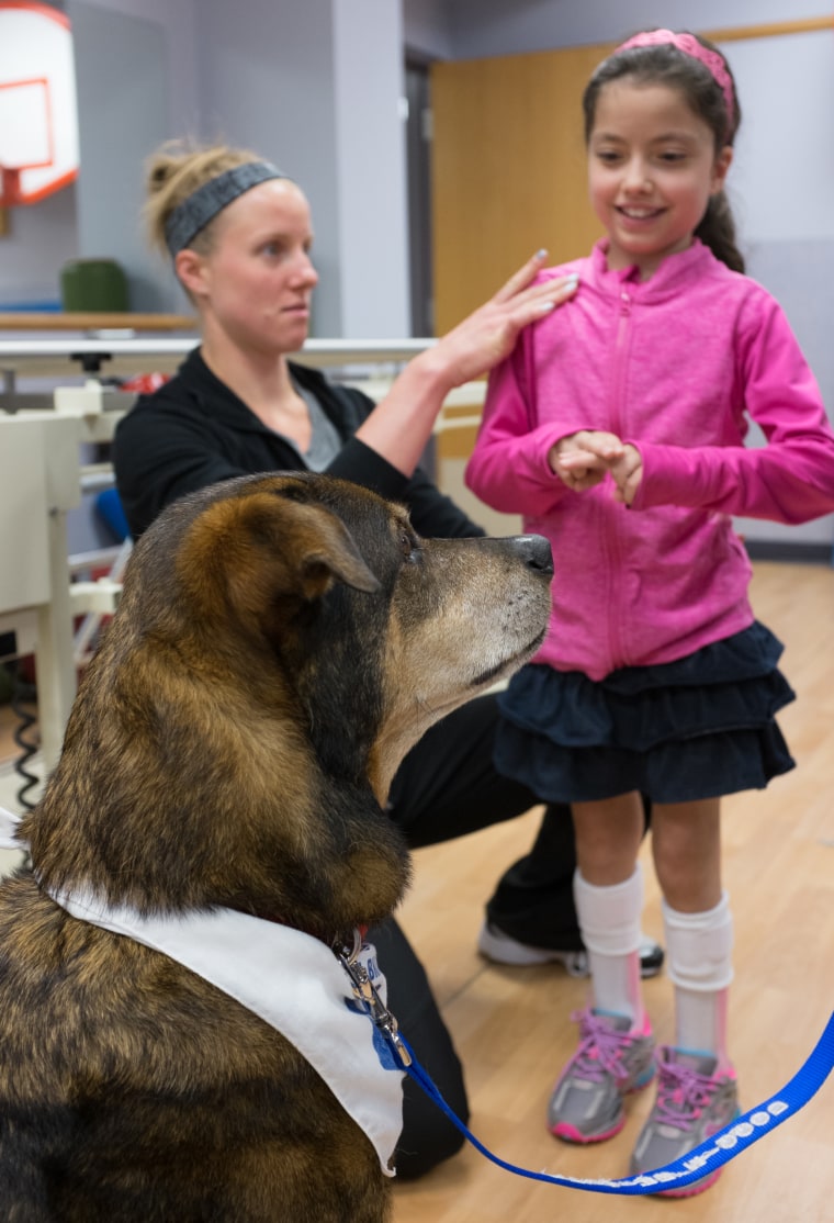 patient with therapy dog at Akron Children's Hospital