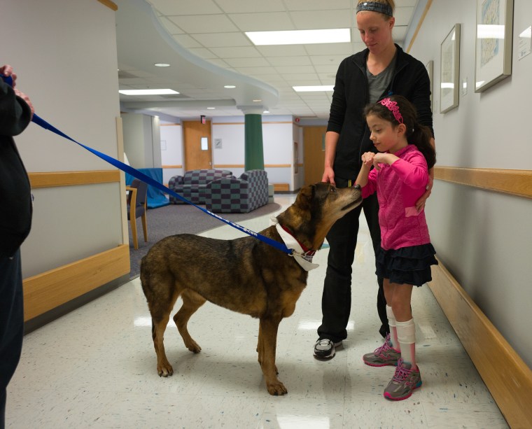 therapy dog at Akron Children's Hospital