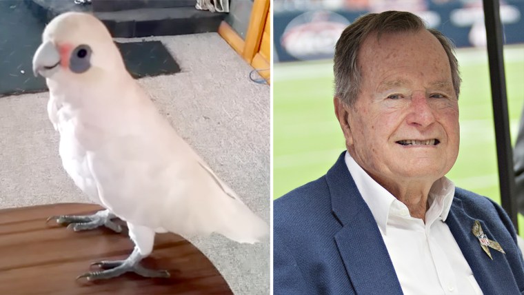 President George H.W. Bush and Eric the cockatoo