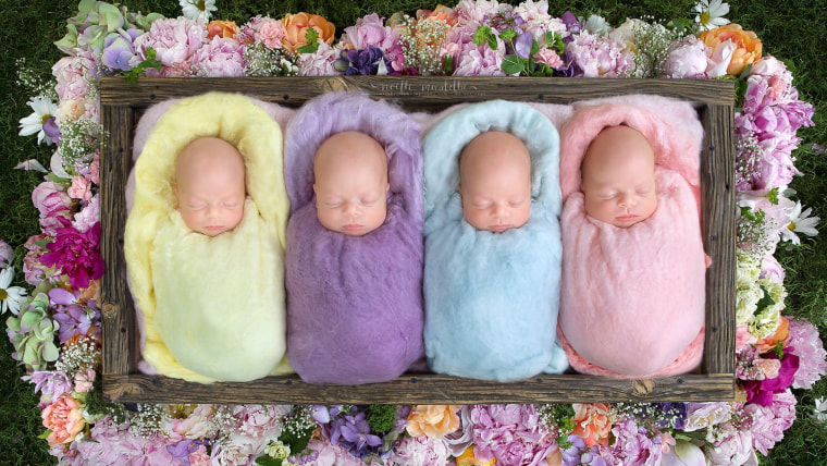 Webb identical quadruplet girls.