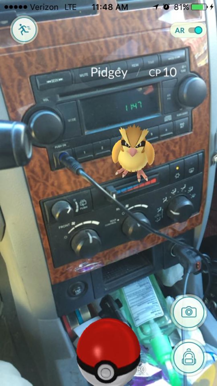 Here, Pidgey Pidgey: You can even play in the car!