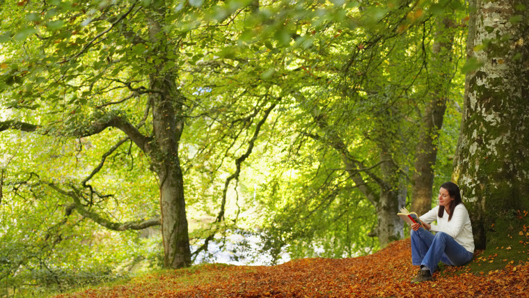 woman reading book in forest