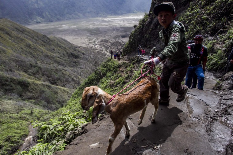 Image: Kasada Ceremony in Mount Bromo
