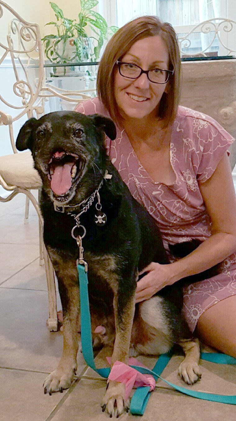 Dog whose muzzle was cut off in Egypt finds loving adoptive home