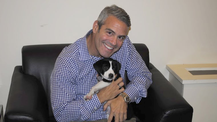 Andy Cohen with shelter dog Brody