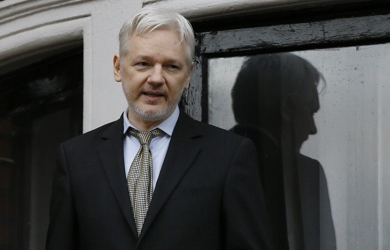 IMAGE: Julian Assange
