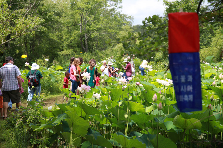 Visitors are present in large numbers during the summer months and during the Annual Lotus and Water Lily Festival at Kenilworth Park.