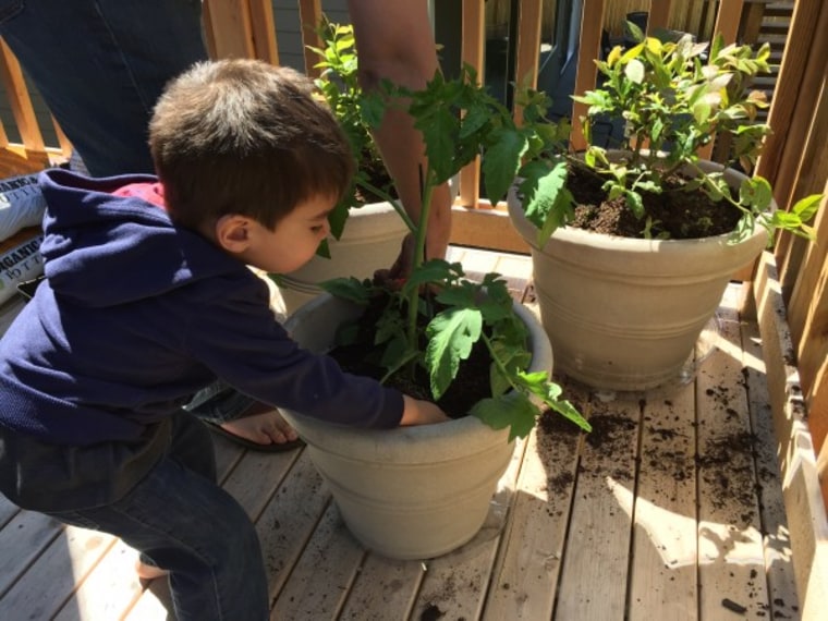 Toddler helps with gardening