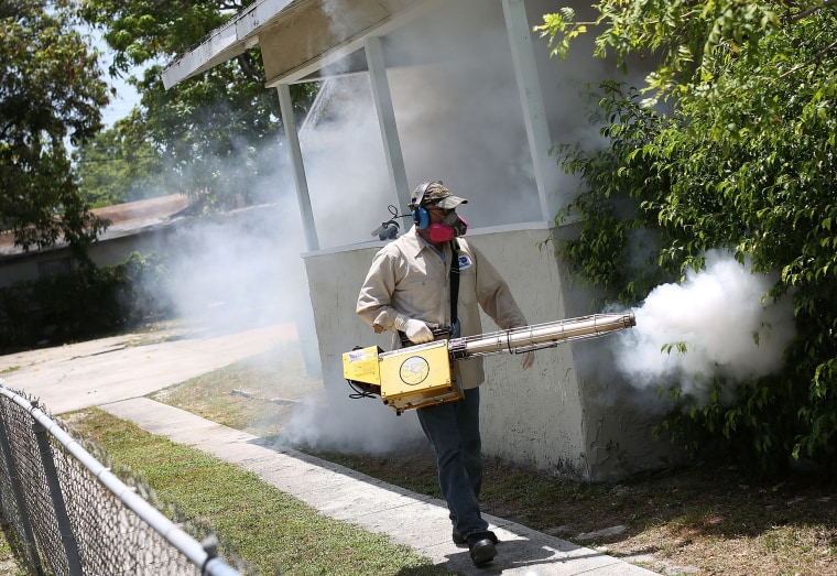 Image: Miami Neighborhood Battles Outbreak Of Zika Virus