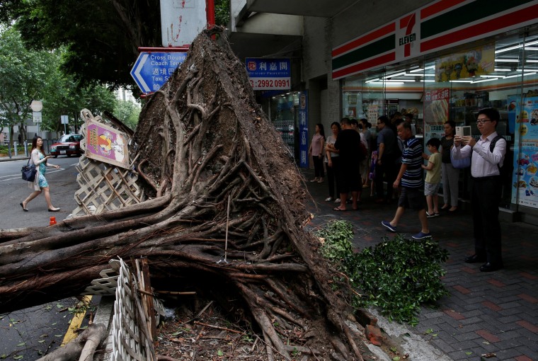 Image: A man takes photo of an uprooted tree after Typhoon Nida hit Hong Kong, China