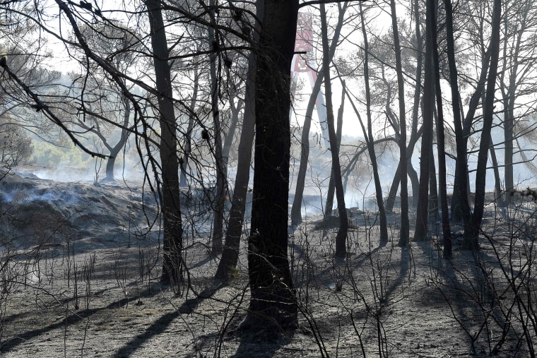 Image: FRANCE-FIRE