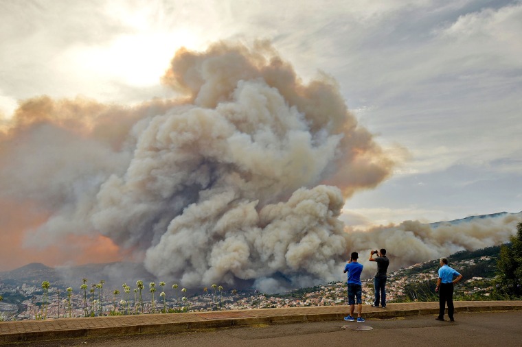 Image: Smoke rises from a wildfire at Curral dos Romeiros, Funchal
