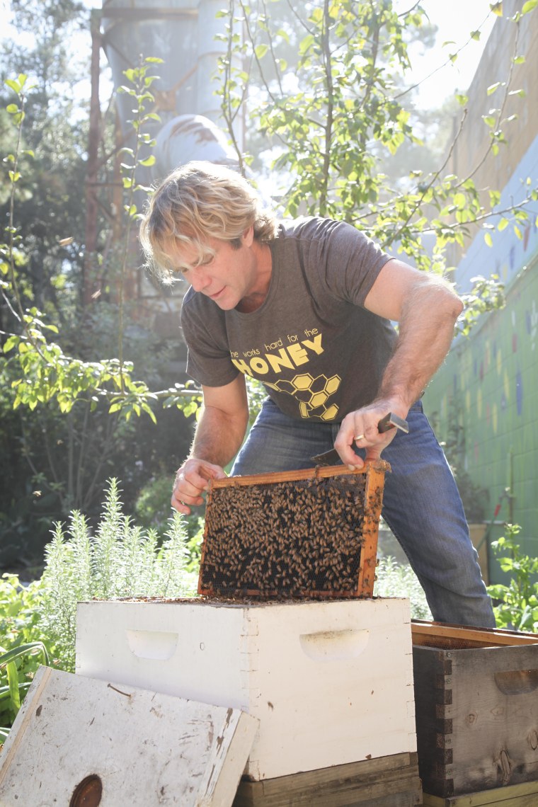 Beekeeper Ted Dennard, founder of Savannah Bee Company.