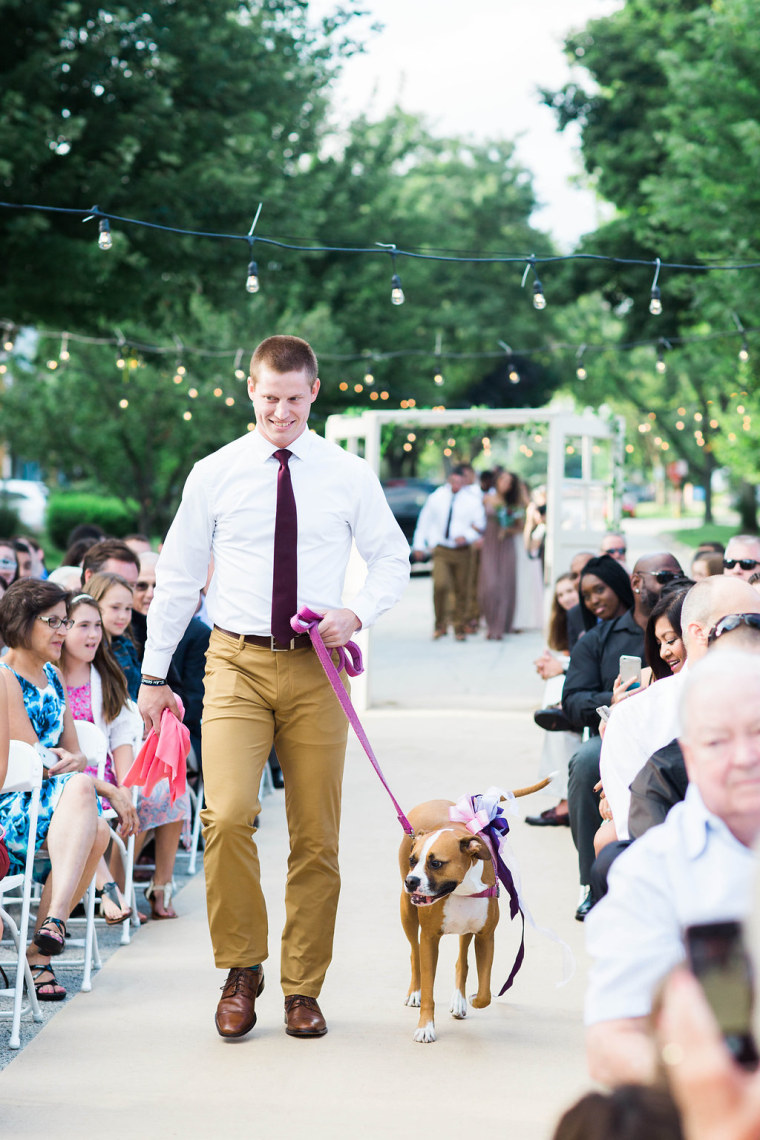Groomsman Steve Hull walks the bride's mom's dog, Kaja, down the aisle.
