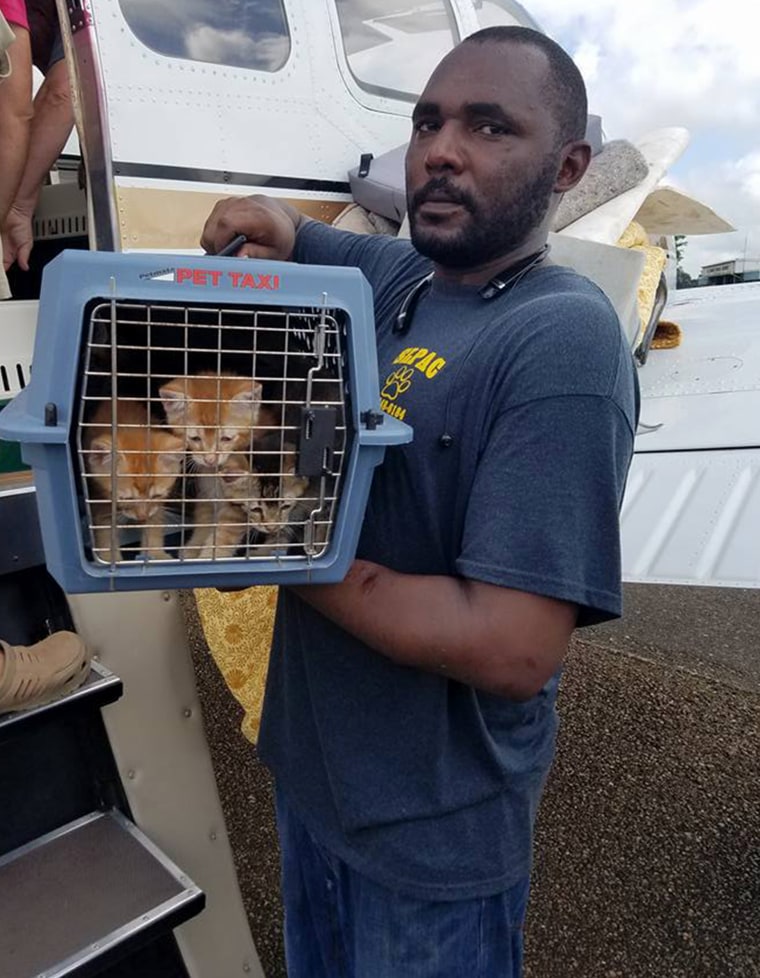 Volunteers are helping to save animals stranded by Louisiana floods