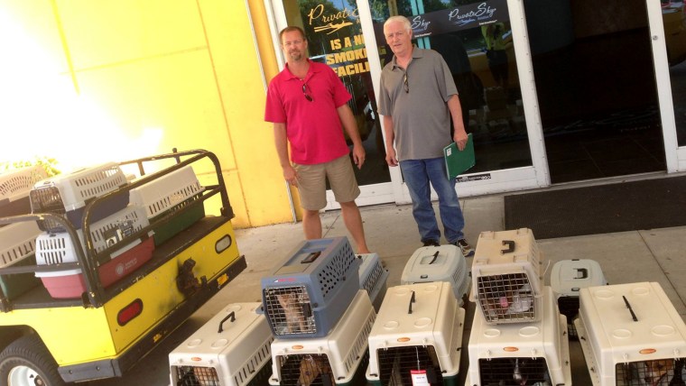 Pilots N Paws volunteers are saving animals amid Louisiana flooding