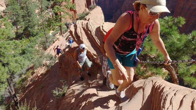 Image: Hikers ascend Angels Landing