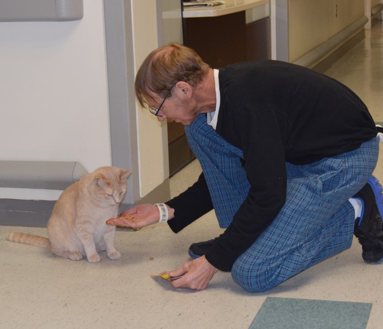 Army veteran James Gearhart gives his favorite cat a treat to say ??Thank you