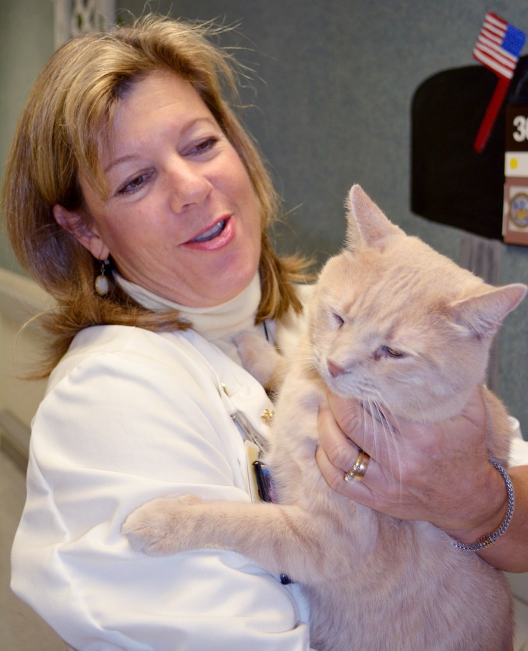 Tom the cat shows some love to his pal, physician assistant Laura Hart.